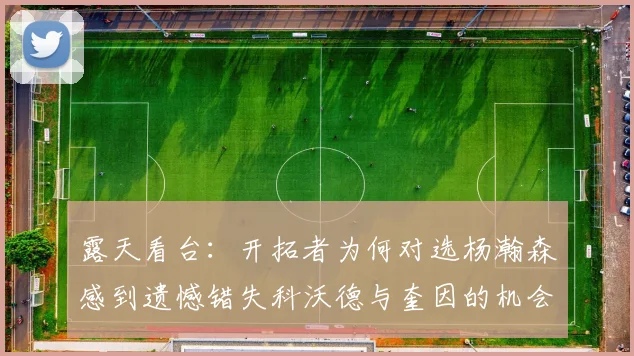 露天看台：开拓者为何对选杨瀚森感到遗憾错失科沃德与奎因的机会