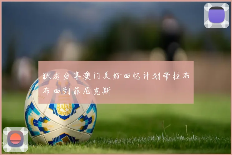 狄龙分享澳门美好回忆计划带拉布布回到菲尼克斯